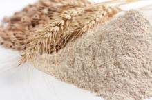 High Quality Wheat Flour
