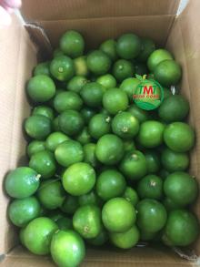 BEST PRICE SEEDLESS LIME FROM VIETNAM