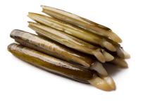 Razor / bamboo clam