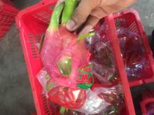 Best Price Dragon Fruit From Vietnam