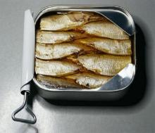 Fresh Crop Premium Grade Canned Sardine in Brine