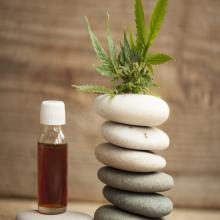 CBD Oil