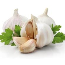 Cheap Garlic