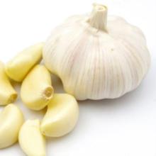 Garlic for sale