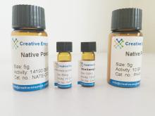 Xylanase for  Aquatic  Animals