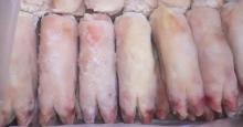 A Grade Frozen Pork Trimming 80/20, 70/30, 60/40, 50/50