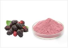 Mulberry Fruit Extract