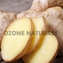  Ginger   Oleoresin  Co2 Extracted