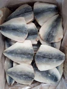mackerel butterfly(flap)