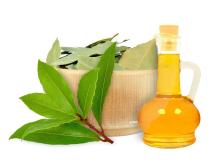 Bay Leaf Essential Oil Co2 Extracted