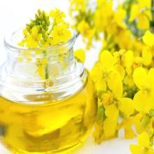Pure Refined Sunflower Oil