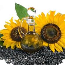 Sunflower oil from Ukraine, Best quality good price