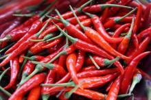 Red hot Chilli Pepper for sells