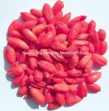 Freeze Dried Goji Berry