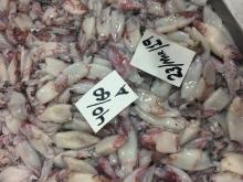 Frozen Loligo Squid