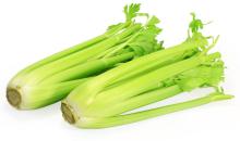  Fresh   Celery 