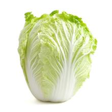Fresh  Chinese   Cabbage 