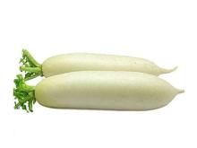 Fresh White Radish
