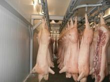 Pork frozen CIF China