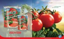 tomato-paste