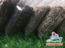 VIETNAM BLACK PEPPER