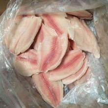 Frozen Tilapia Fillet