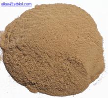 beer  yeast   powder 
