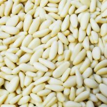 #superseptember CASHEW NUTS/ CASHEW KERNELS WW240/ WW320/ WW450/ WS/ LP/ SP