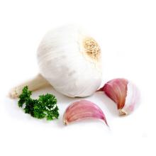 Chinese fresh normal white garlic good price