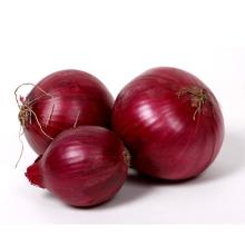 China fresh red onion, Export fresh red onion with premium quality from SeaerFarm