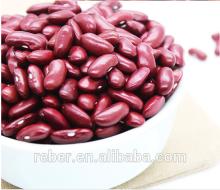 New crop2018 long shape DRKB/RAJMA/Dark ansRed Kidney Be