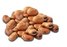 Favaz beans