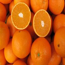 Fresh Orange for sale
