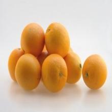 Fresh Orange