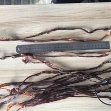  seasoned   dried   squid  tentacle