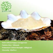 Semi refined Kappa Carrageenan Supplier
