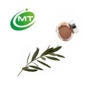 100%natural Olive Leaf Extract Powder