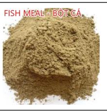 Fish meal