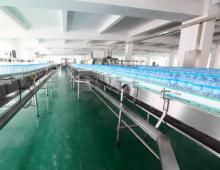 BOTTLING LINE CONVEYOR