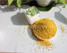China Bulk Natural Pure Rape Bee Pollen