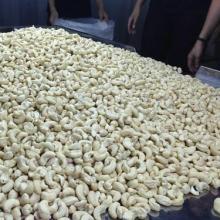 Cashew //Cashew Nuts/ /Cashew Kernels ww240/ ww320/ ws
