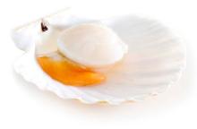 Frozen Ezo Scallop