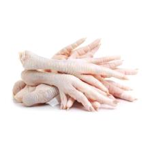 Clean  cut ting  chicken  paws