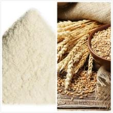 Vital wheat gluten factory supplies protein ≥85%