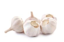 Fresh Garlic