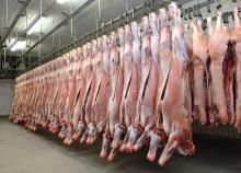 Cheap Frozen Pork Meat , Pork Hind Leg, Pork feet for export