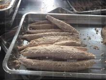 Precooked sarda tuna loin Sarda Orientalis