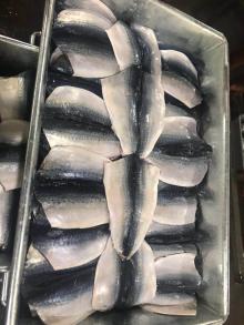 Frozen Mackerel Flap (scomber japonicus)