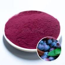  Blueberry   Juice   Powder 