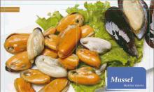 blue  mussel   meat  zhangsf7736 at hotmail dot com